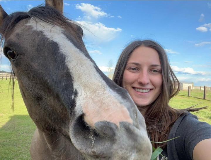 $city Equine Veterinarians